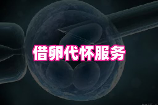 天津助孕网站 2