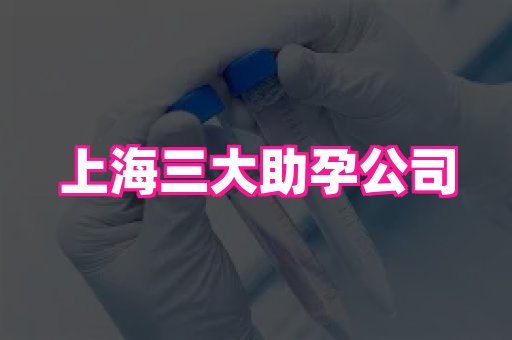 天津助孕网站 3